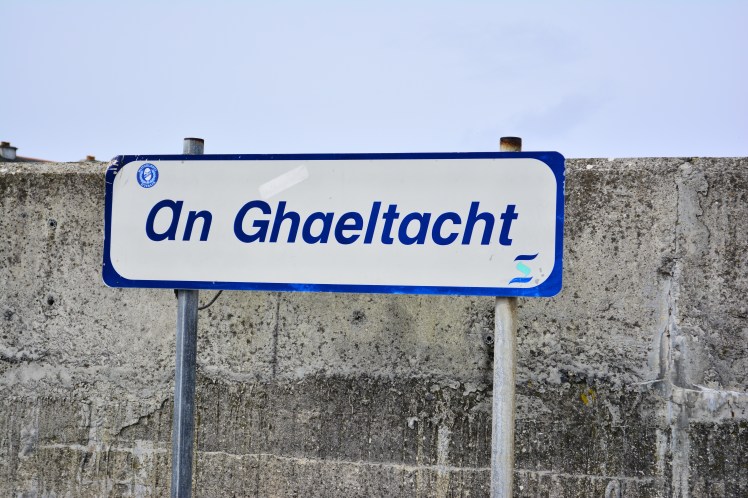 40250877765_1722497256_o